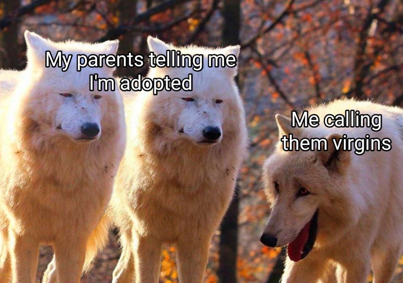 Laughing wolves meme calling parents virgins after told adopted