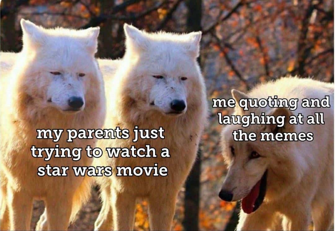Laughing wolves meme laughing at memes while parents watch star wars