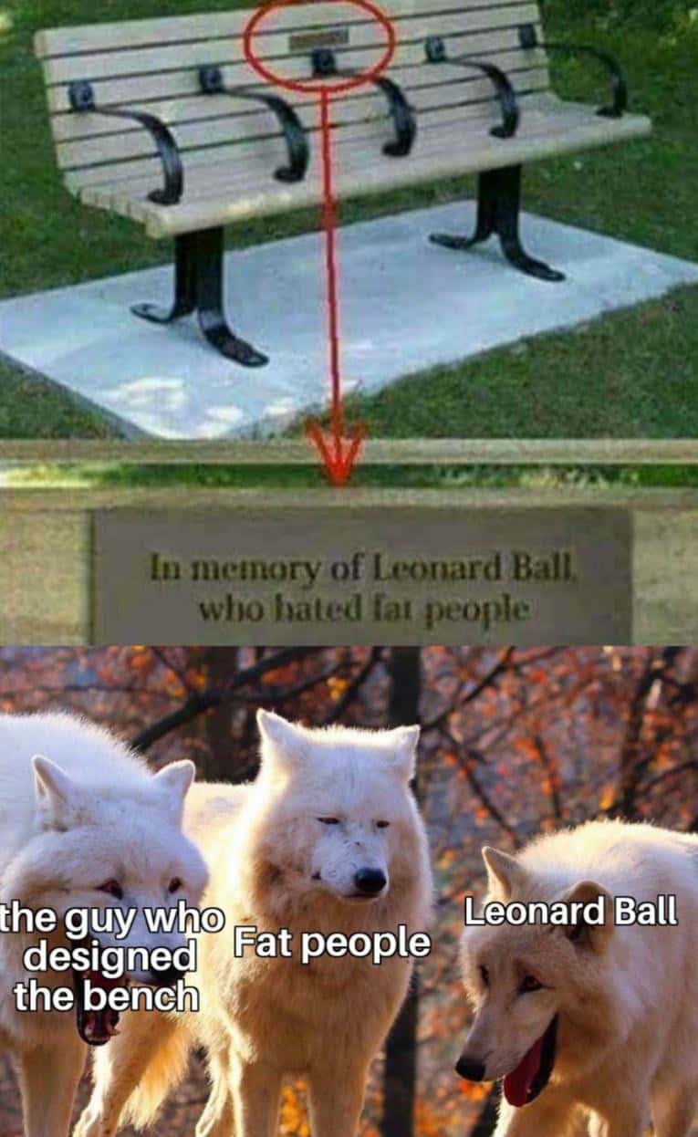 Laughing Wolves meme bench hates fat people