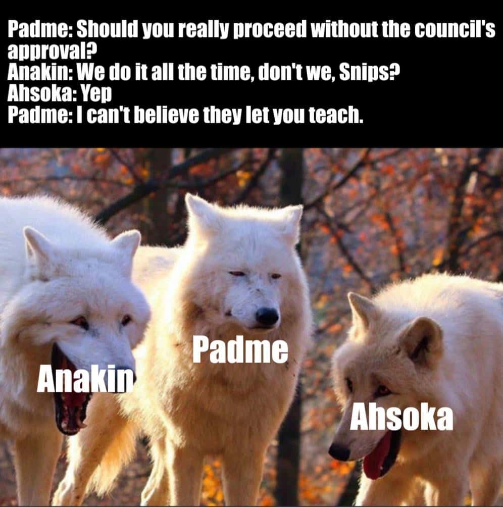 Laughing Wolves meme star wars joke