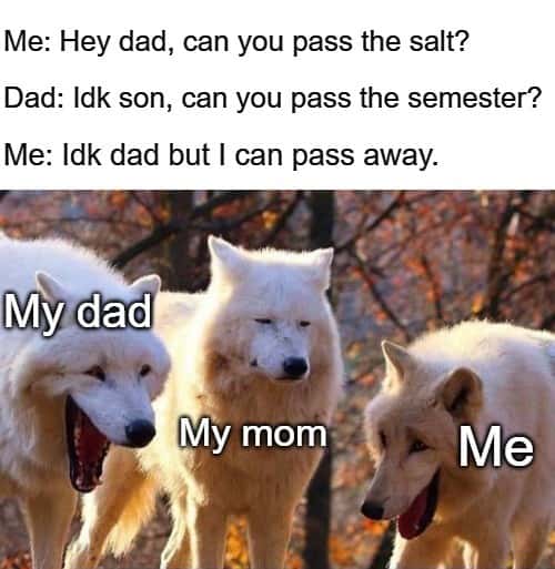 Laughing wolves meme son roasts dad with dark joke