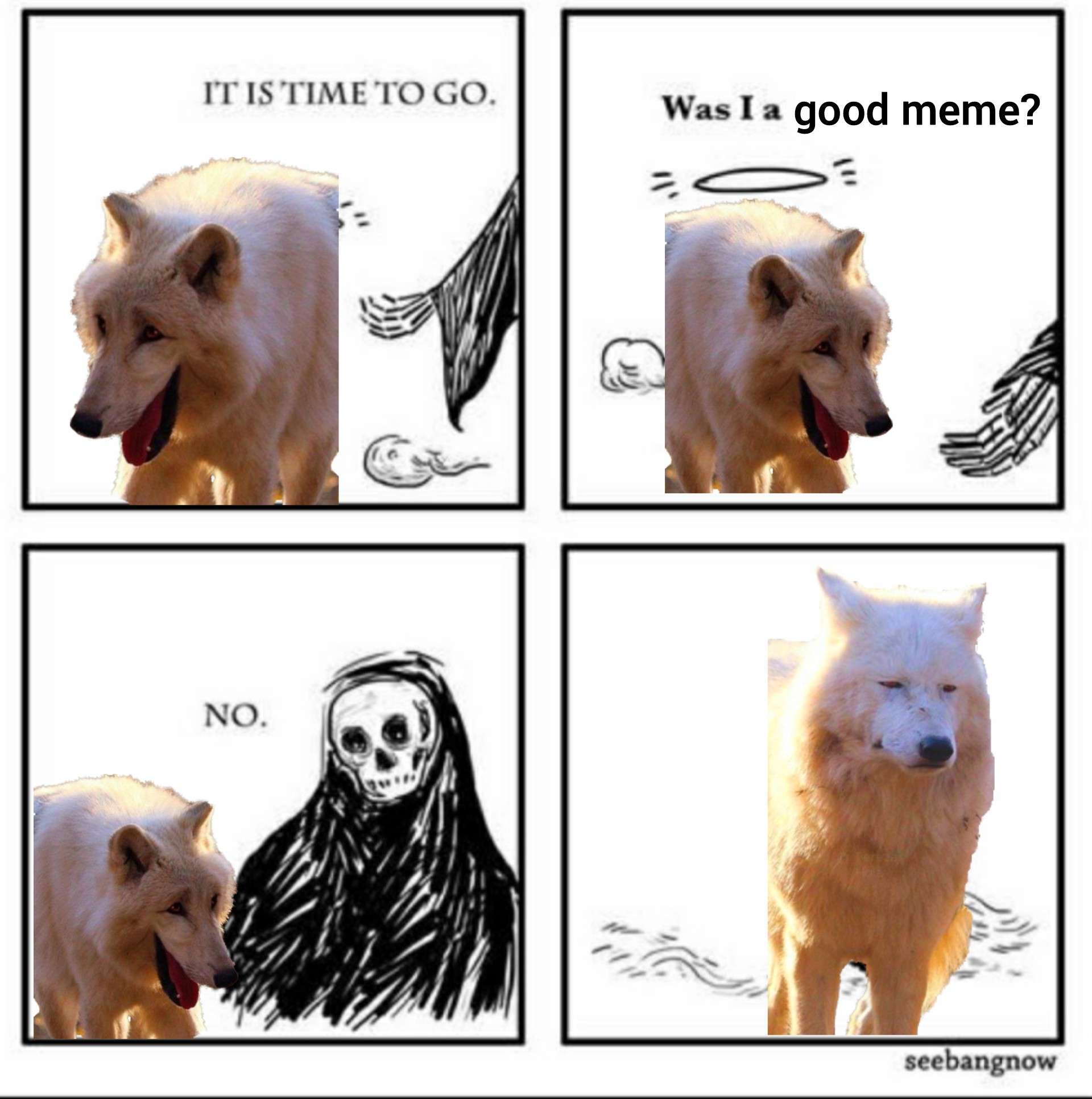 Laughing wolves meme asked if it was a good meme then denied