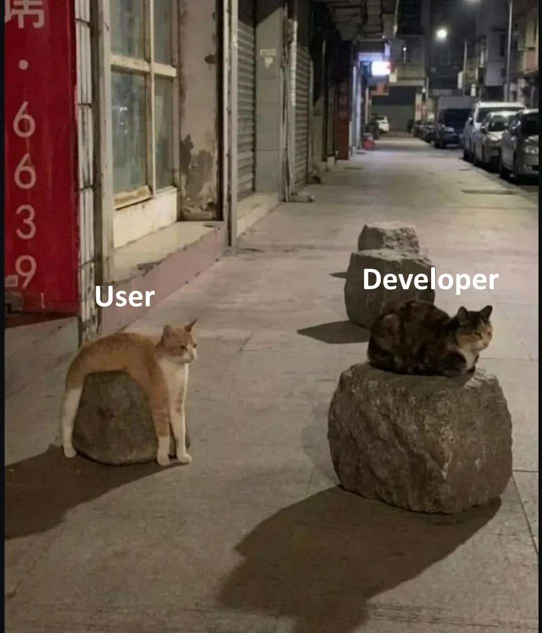 User Vs Developer Cat Meme: The Viral Tech Humor
