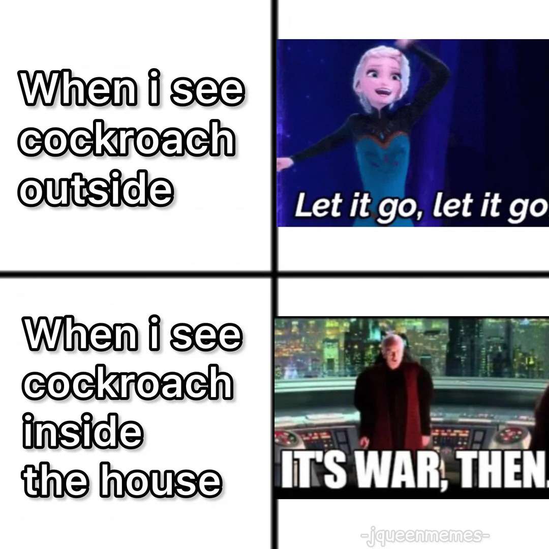 When You See a Cockroach Outside vs. Inside the House Meme