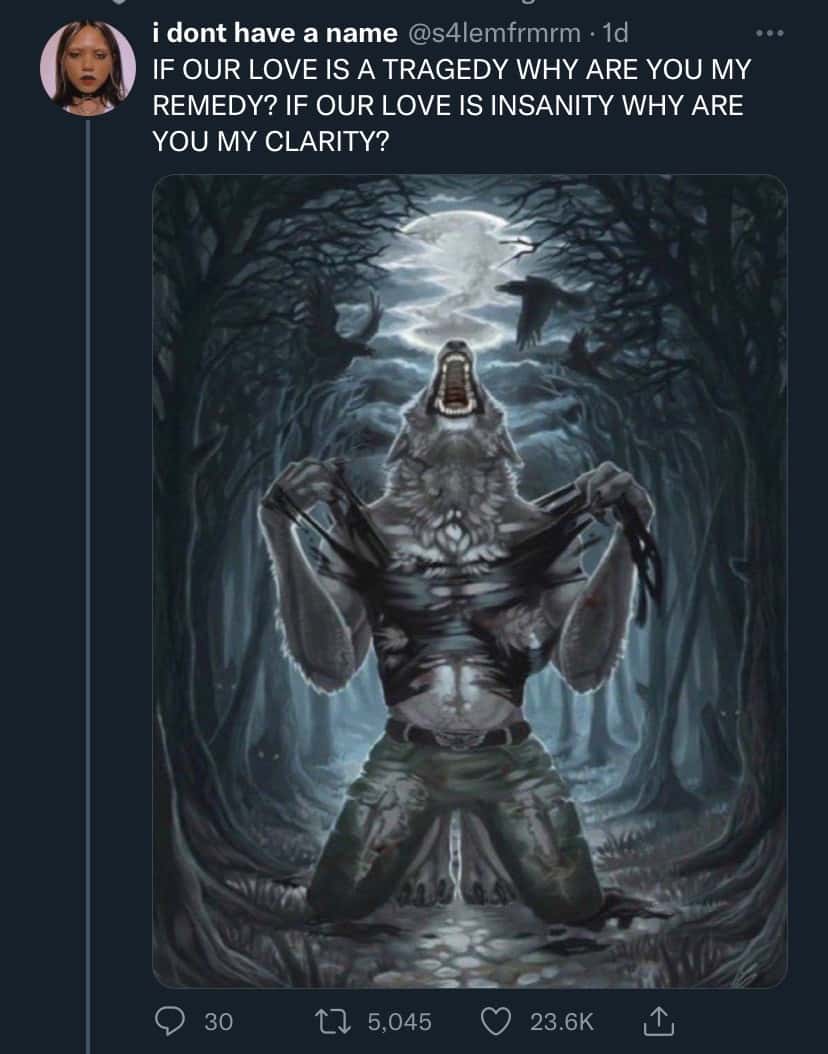 Wolf ripping shirt meme howling over tragic love lyrics