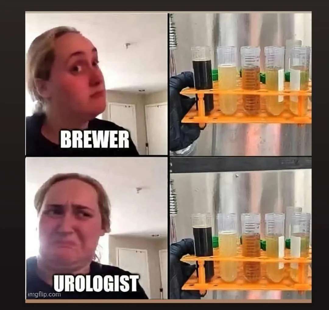 Meme Comparison: brewer looks at liquid samples vs urologist looks at liquid samples
