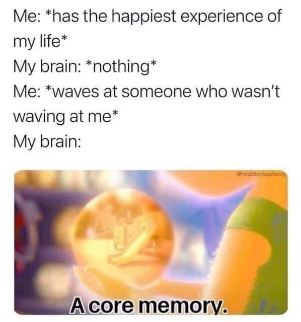 Me: *has the happiest experience of my life* / My brain: *nothing* / Me: *waves at someone who wasn't waving at me* / My brain: A core memory.