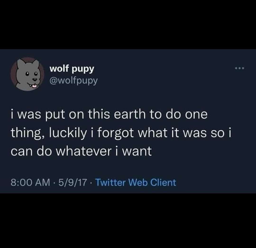 Twitter Meme: I Forgot My Purpose