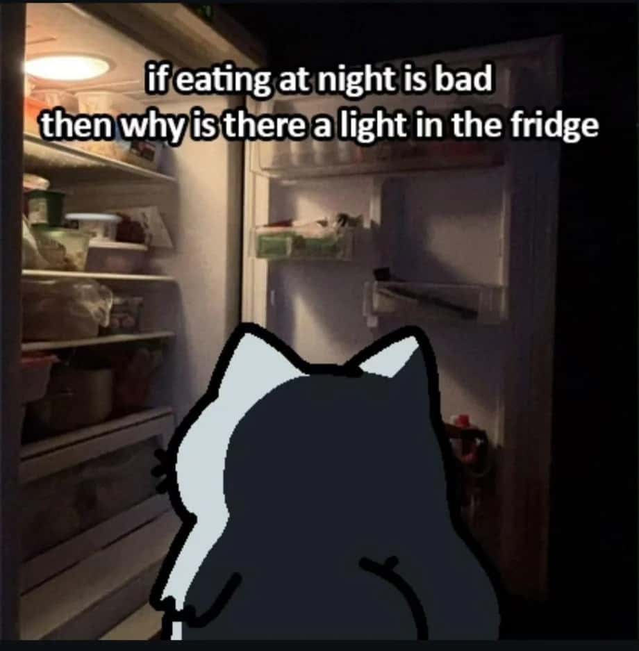Cat Fridge Meme: "If Eating At Night Is Bad" Funny Relatable Meme