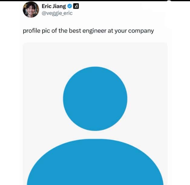 Company Meme: profile pic of the best engineer at your company