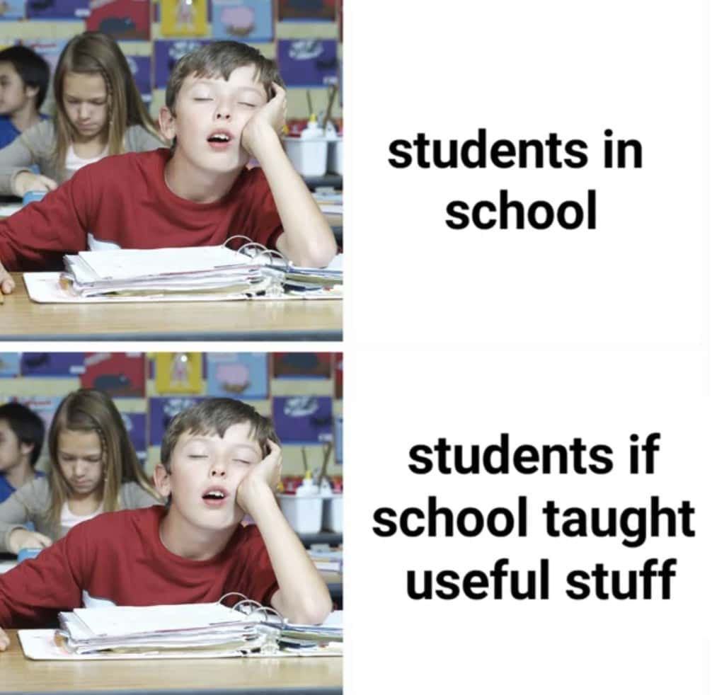 School Meme: Students in school vs students if school taught useful stuff
