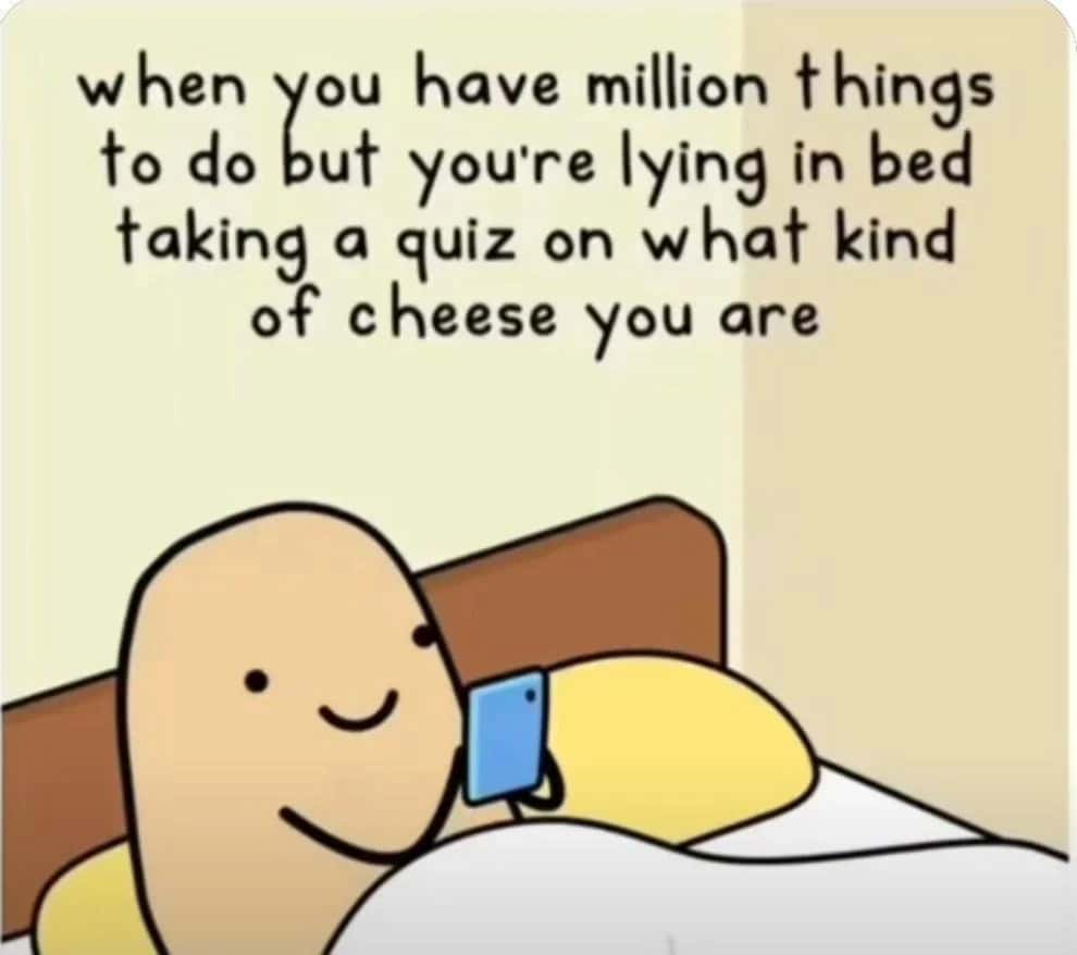 Procrastination Meme: Lying In Bed Taking A Cheese Personality Quiz
