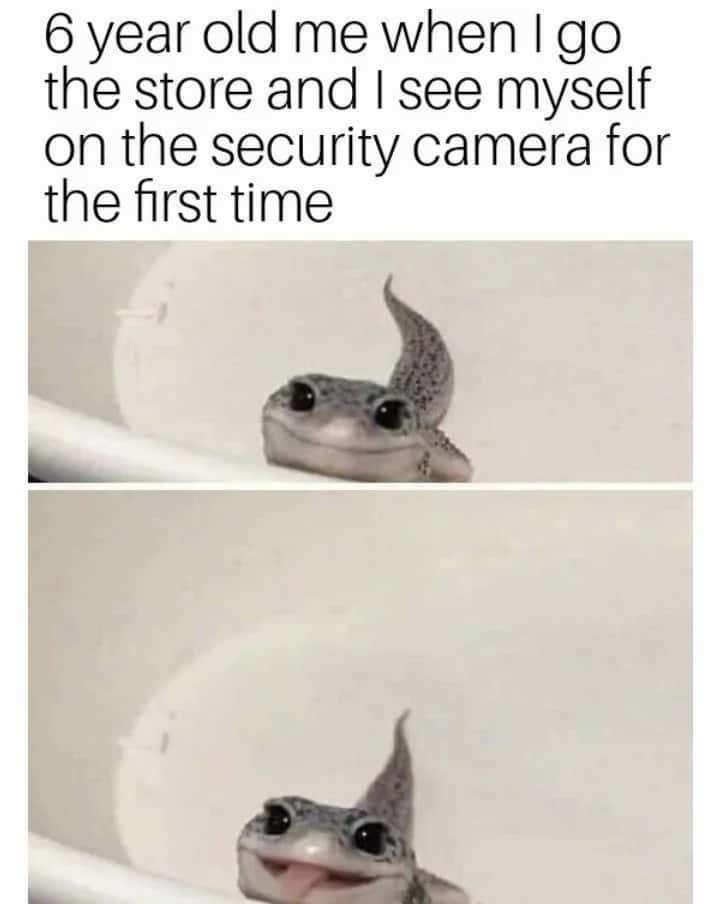 Leopard gecko meme excited seeing itself on store camera
