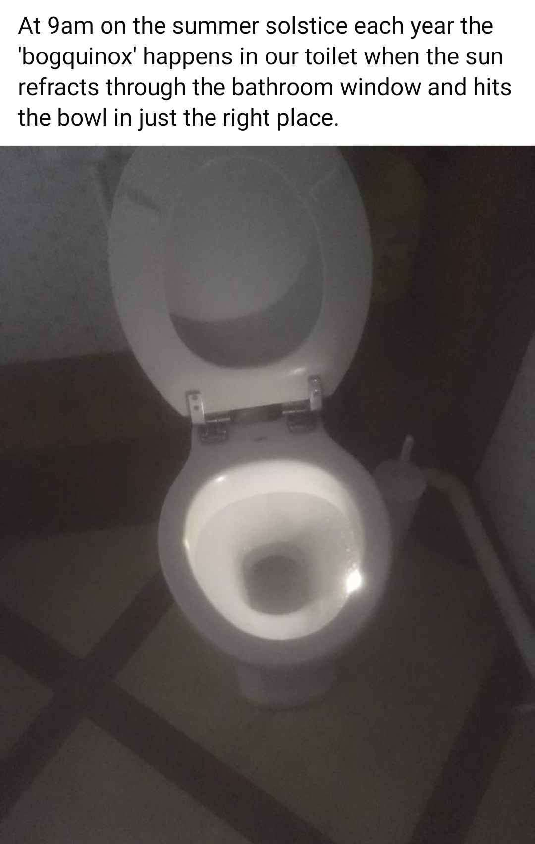 Summer solstice toilet meme where sun perfectly hits the bowl