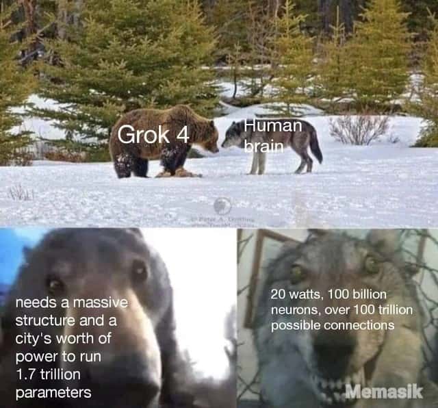 Staring Bear and Wolf meme grok 4 vs human brain comparison Staring Bear and Wolf meme grok 4 vs human brain comparison