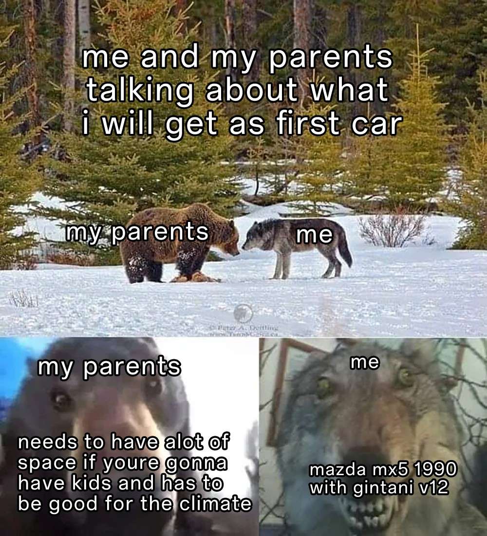 Staring Bear and Wolf meme first car Staring Bear and Wolf meme first car