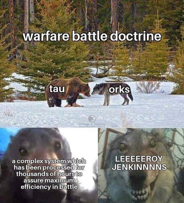 Staring Bear and Wolf meme leeroy jenkins ruins battle doctrine Staring Bear and Wolf meme leeroy jenkins ruins battle doctrine