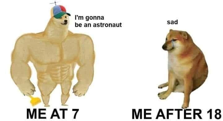 Buff Doge vs Cheems meme childhood dreams vs adult sadness Buff Doge vs Cheems meme childhood dreams vs adult sadness