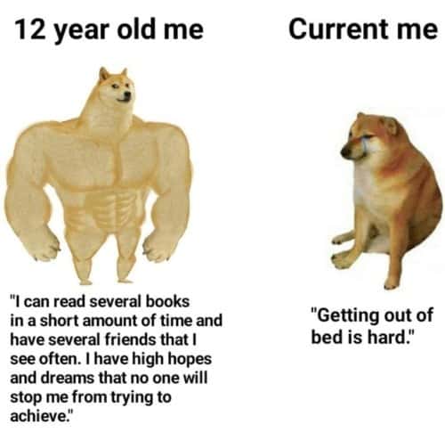 Buff vs sad doge meme about childhood dreams vs current reality Buff vs sad doge meme about childhood dreams vs current reality
