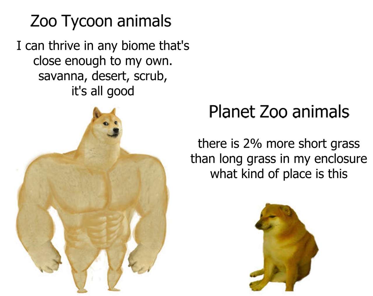 Buff vs sad doge meme about zoo game animal requirements difference Buff vs sad doge meme about zoo game animal requirements difference