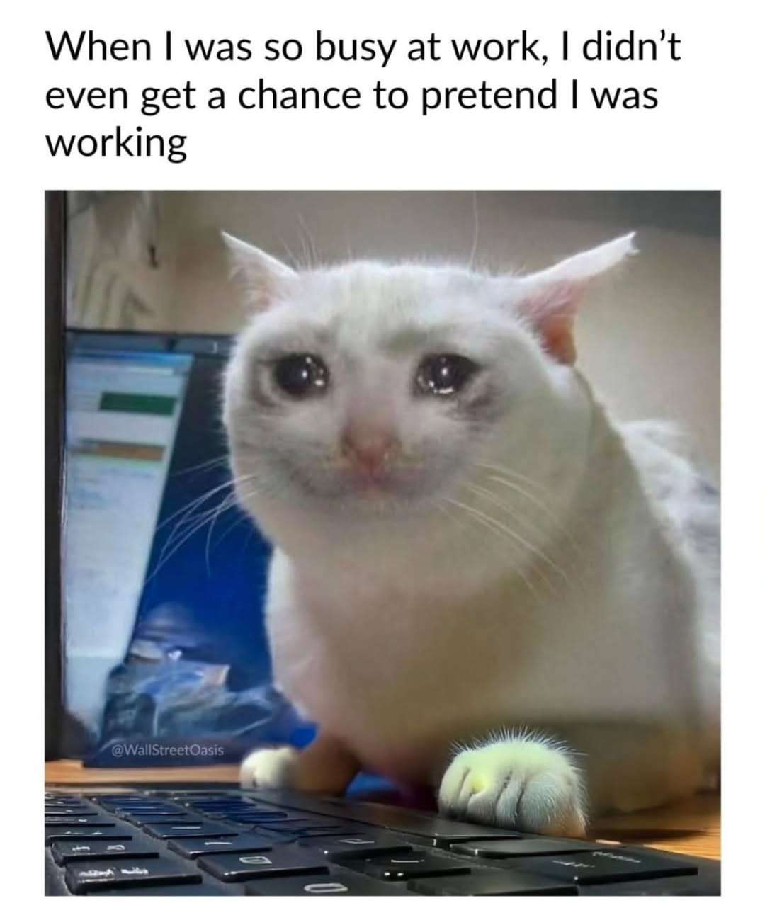 Crying Cat meme for overworked employees no time to slack