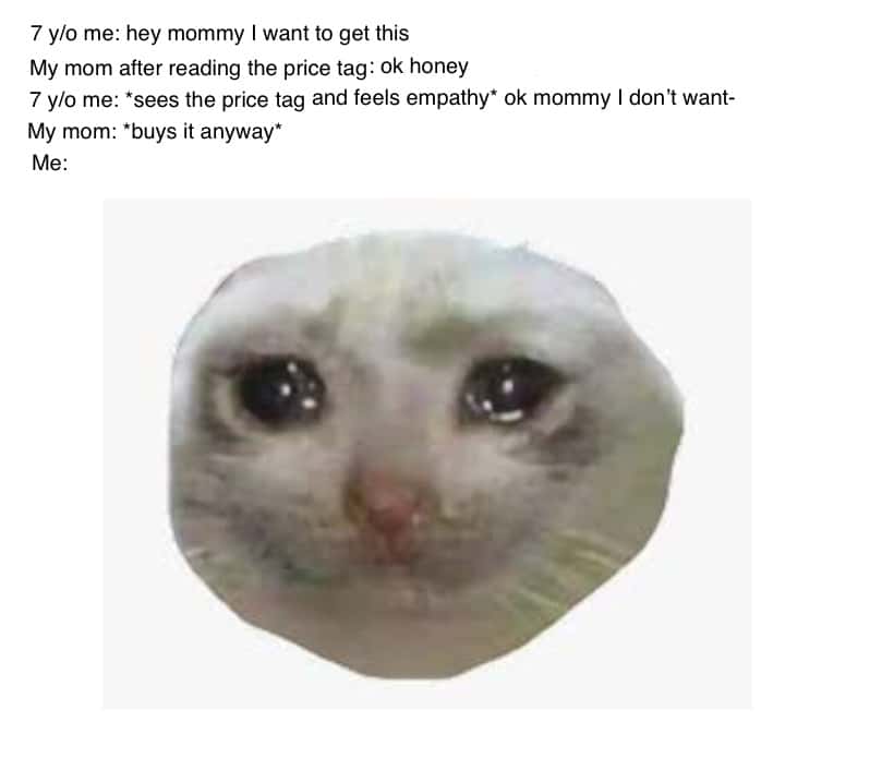Crying Cat meme about mom's love meme