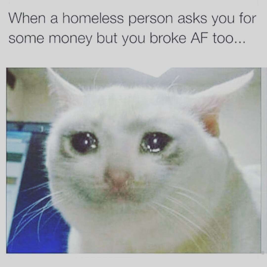 Crying Cat meme about having no money to spare