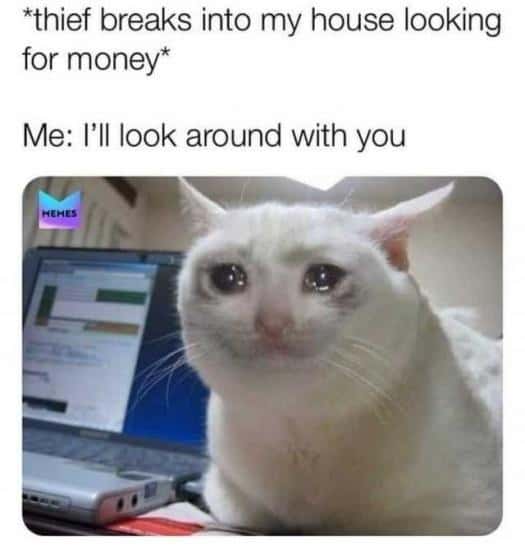 Crying Cat meme for when you have no money to steal