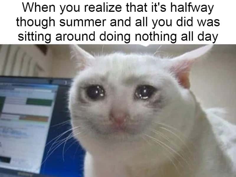 Crying Cat meme for summer halfway doing nothing regret