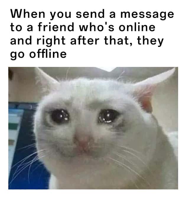 Crying Cat: Funny cat meme about being left on read