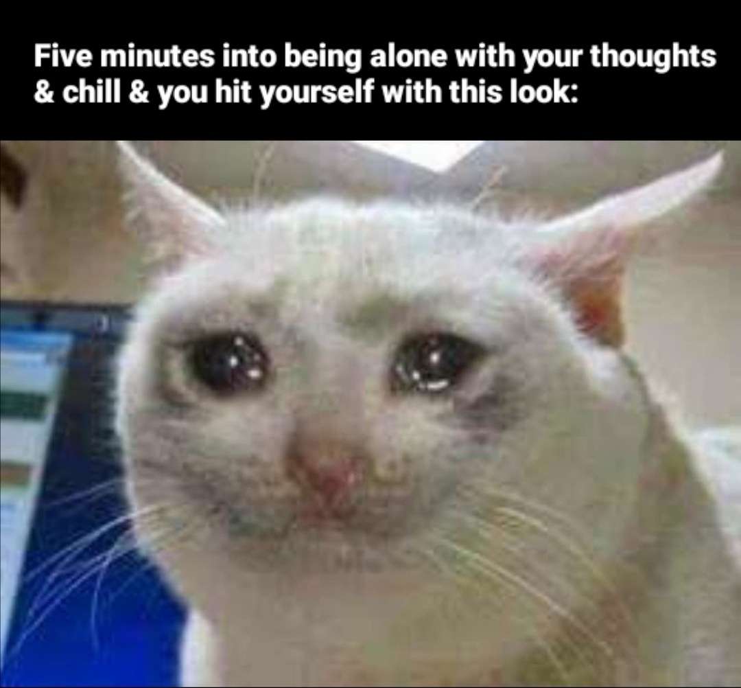 Crying cat meme fighting back tears mid quiet alone time