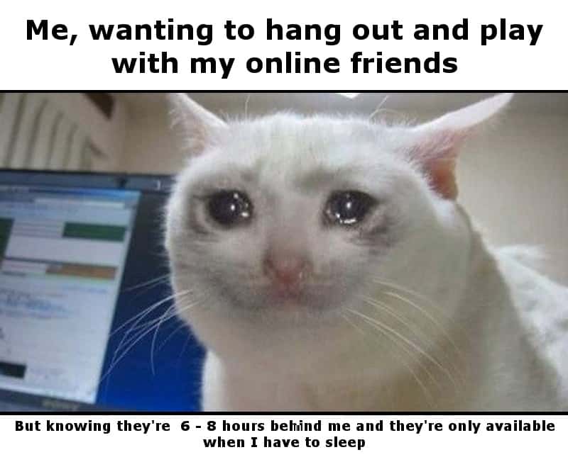 Crying cat meme about time zone differences with friends