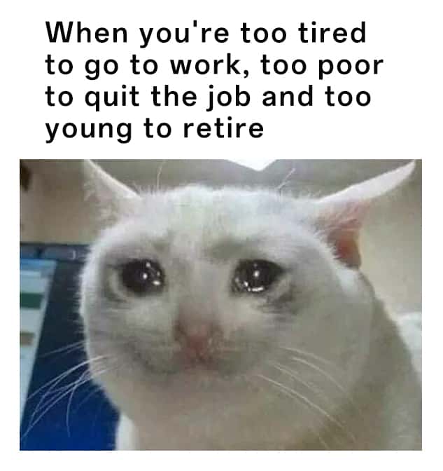 Crying cat meme about dead end job situation