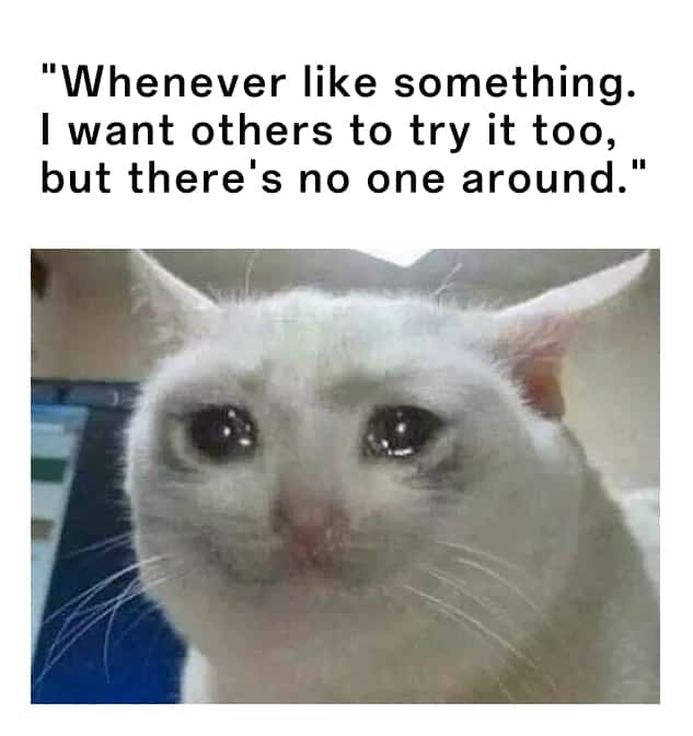 Crying Cat meme about having no one to try things with