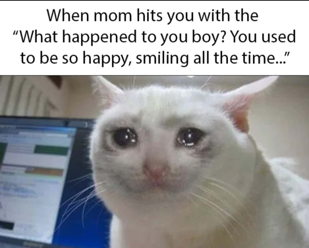 Crying Cat meme about growing up and being unhappy