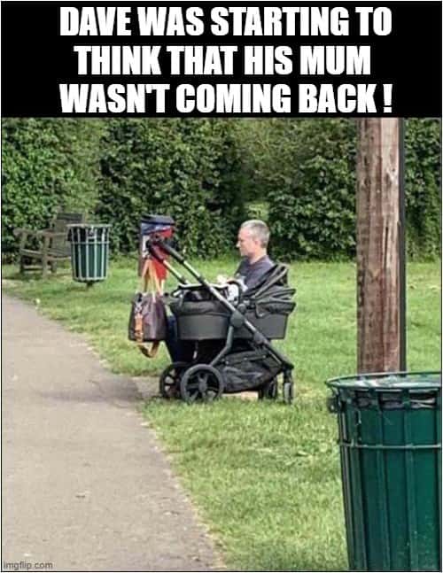 Optical Illusion Meme: The Dad And Stroller Photo That Went Viral