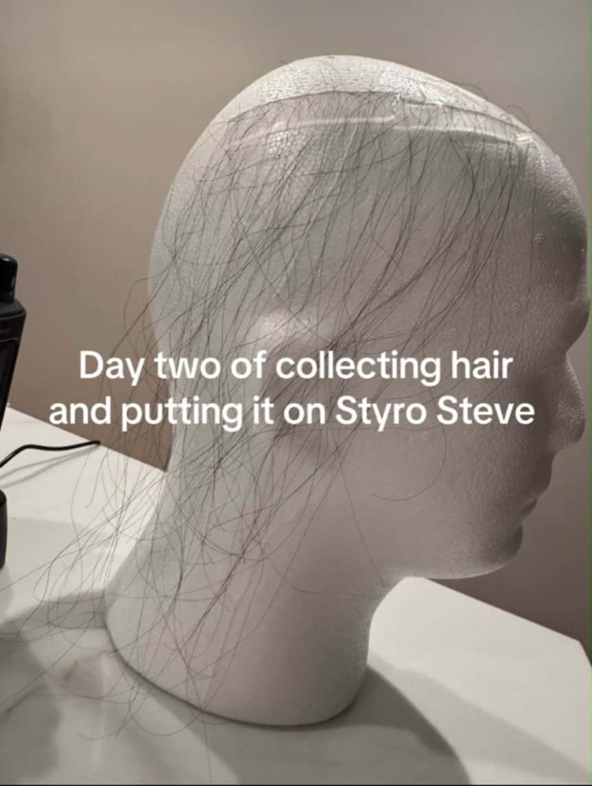 Weird Diy Styro Steve Hair Meme