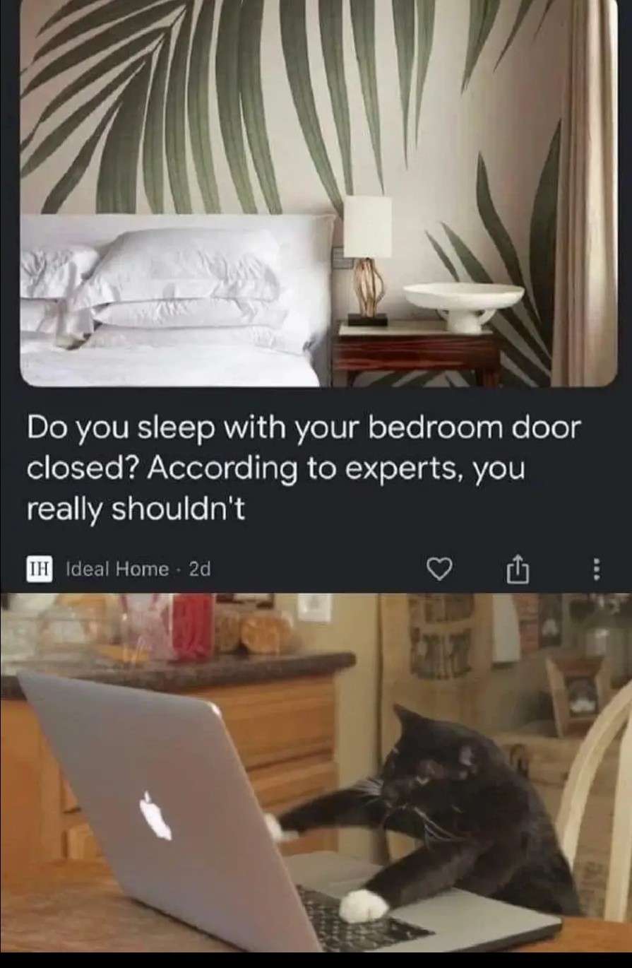 Funny cat meme responding to experts' bedroom door sleep tip