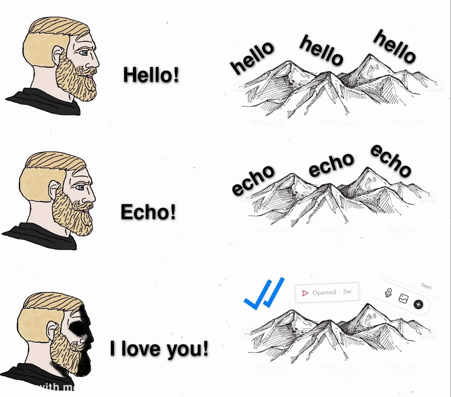Echo Vs Unread Chat Meme With Mountains