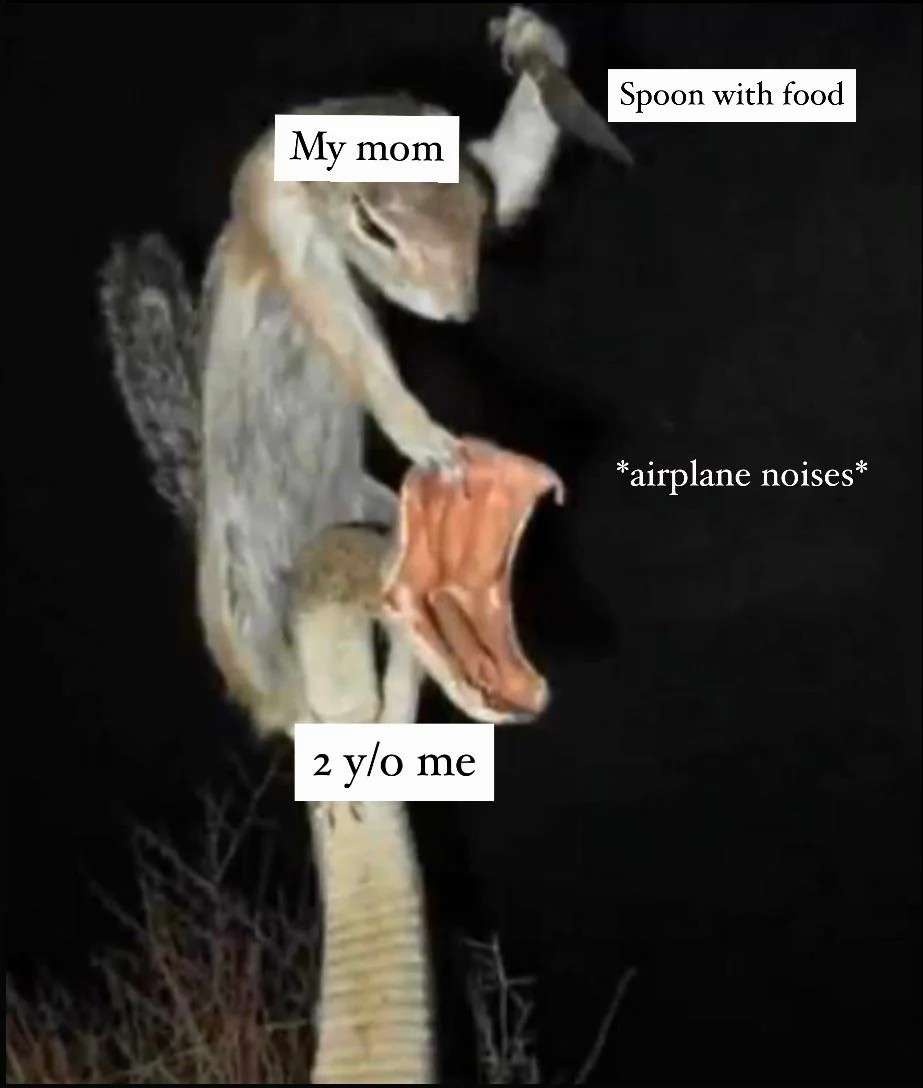 Funny mom feeding toddler meme airplane spoon feeding joke