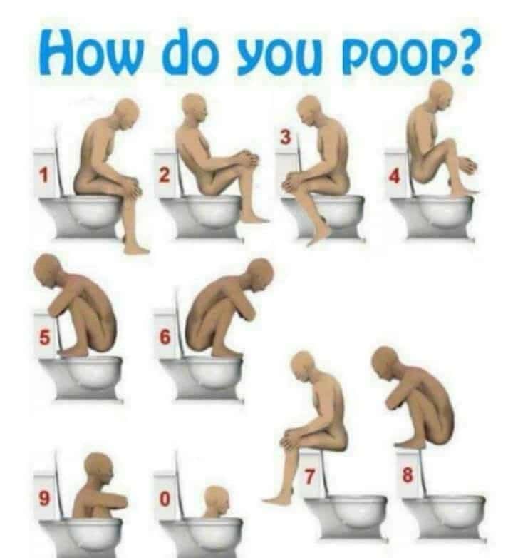 "How Do You Poop" Quiz Meme: Funny Toilet Position Chart
