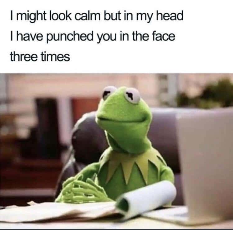 Kermit The Frog Calm On Outside Violent Inner Thoughts Meme