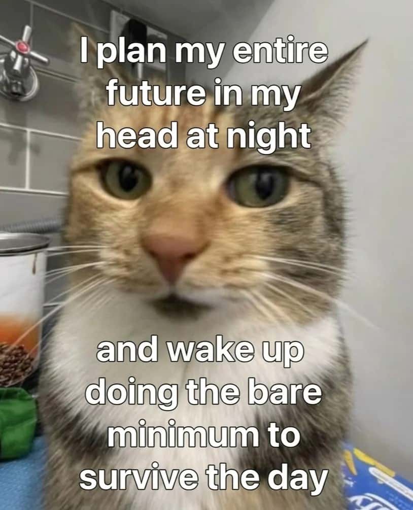 Overthinking Future Planning Cat Meme