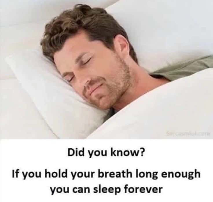 Dark Humor Sleep Meme: Did You Know You Can Sleep Forever