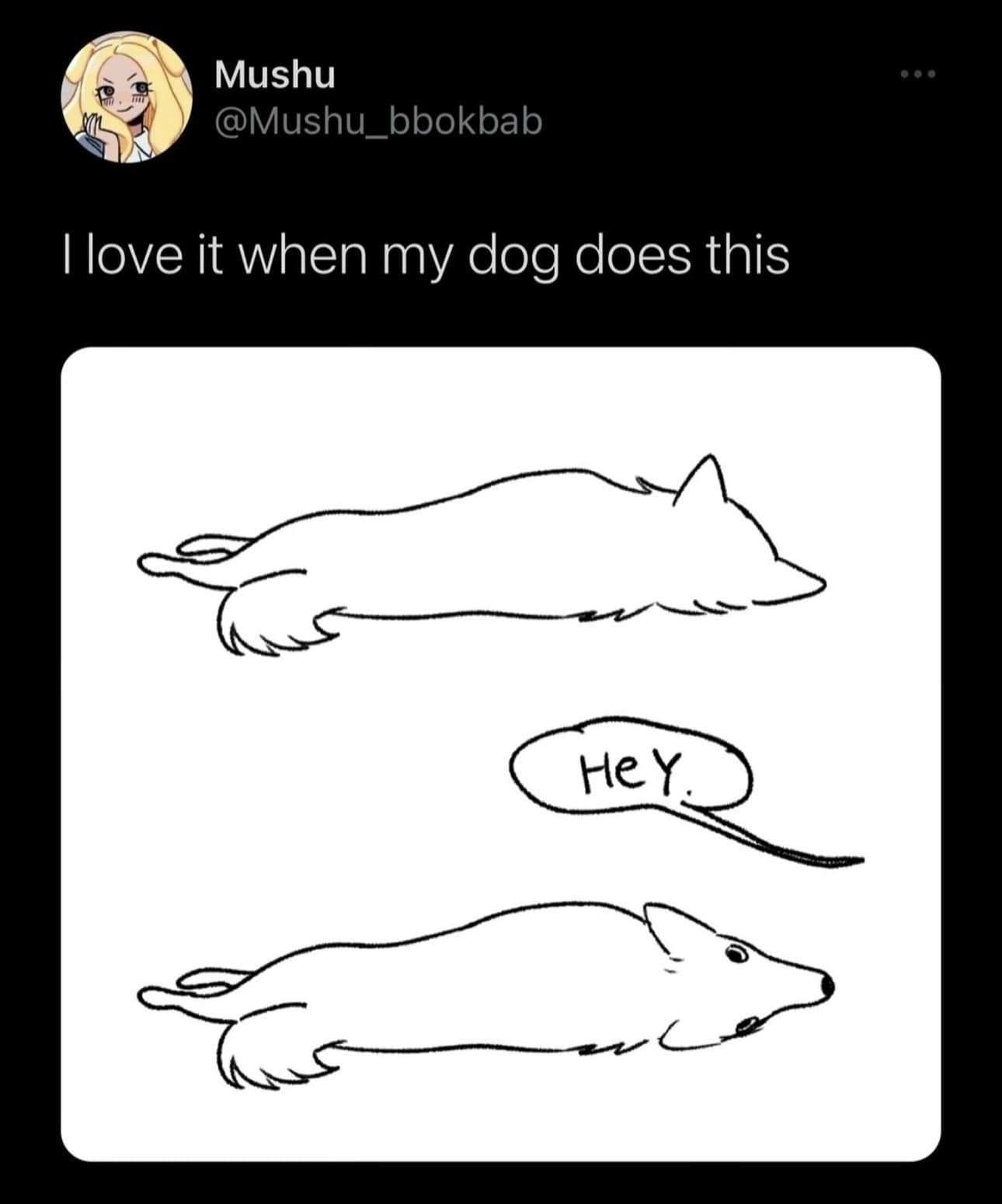 Wholesome Dog Meme: The Adorable "Hey" From My Dog