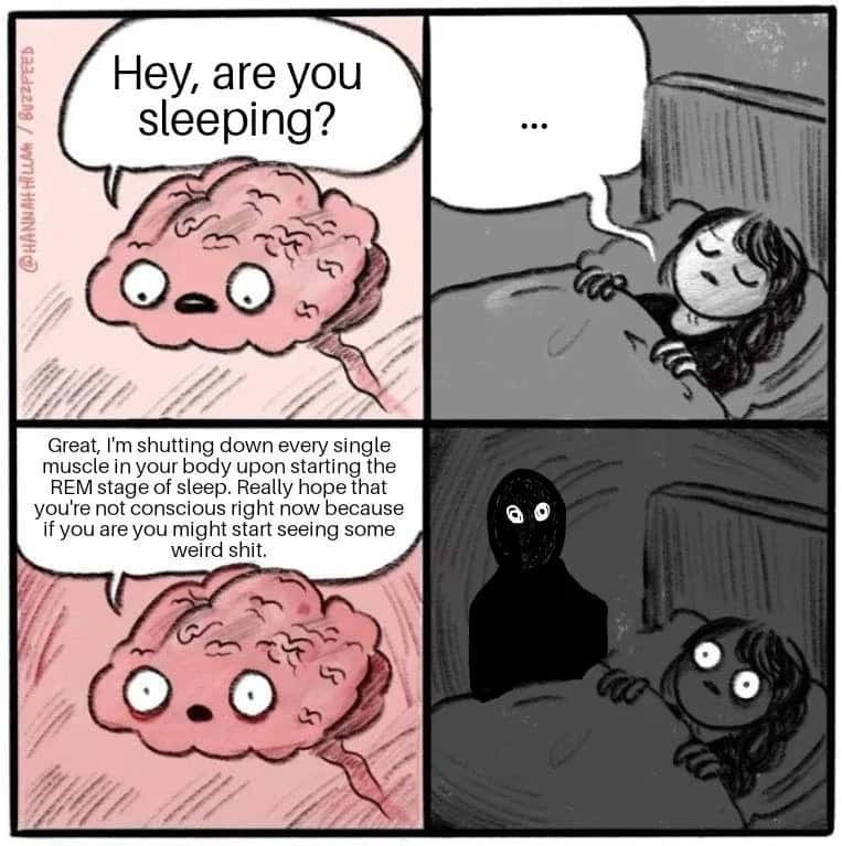 Comic About The Brain Warning You Before Rem Sleep Paralysis