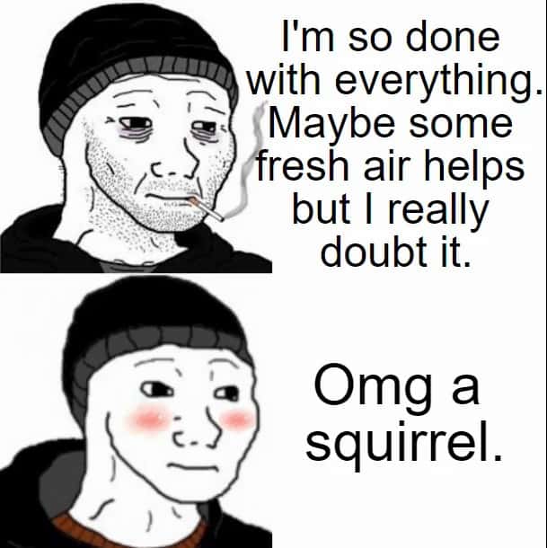 Doomer wojak meme distracted by squirrel while being done with life