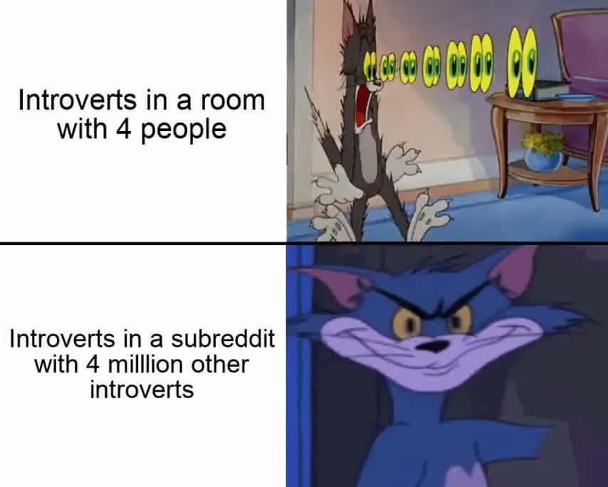 Introvert Meme: Social Anxiety vs Online Community