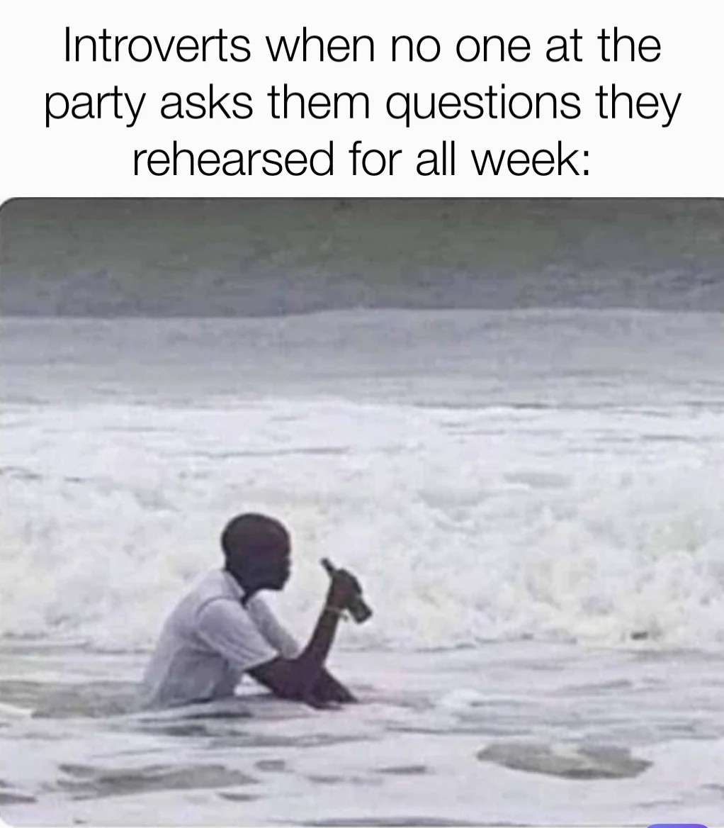 Funny Introvert Party Rehearsed Questions Meme