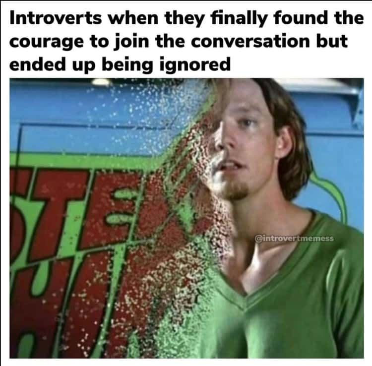Introverts Ignored After Joining Conversation Shaggy Meme